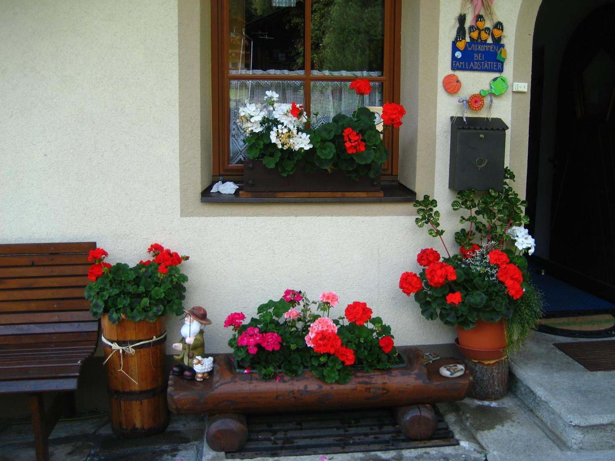 圣雅各布-德法里根Haus Arnika公寓 外观 照片